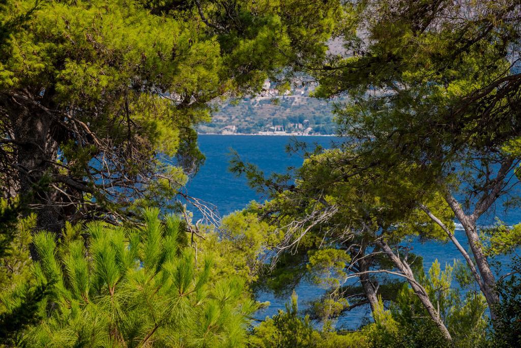 Apartment Dora Cavtat Exterior foto